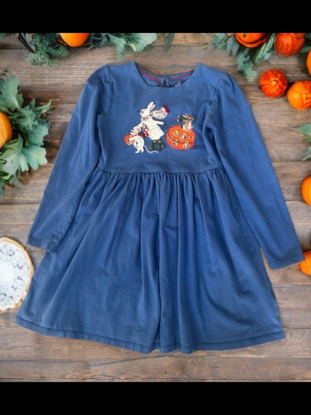 Mini Boden Blue Girls Dress with Pink Trim